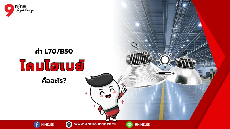 โคมไฮเบย์มีค่า L/B มันคืออะไร?